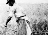 Tudja Ön, hogy honnan származik a “Pálinkás Jó Reggelt!” köszönésünk?