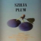 Téti Szilva Pálinka Téti Szilva Pálinka
