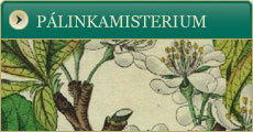 Pálinkamisterium